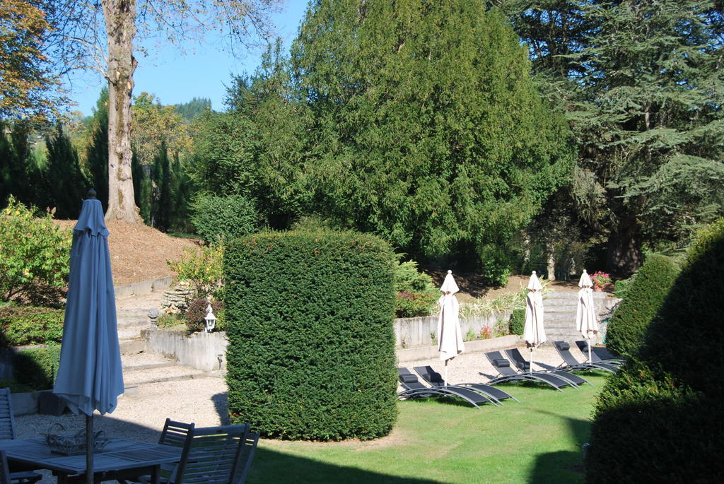 Chateau De Chantelauze Olliergues エクステリア 写真